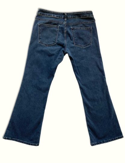 Full front view of vintage Gap women's jeans in the Long and Lean fit.
